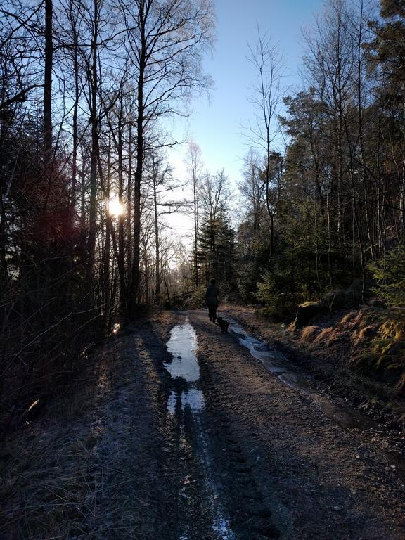 Lekanders Baer & Boende Tyfta Exteriér fotografie