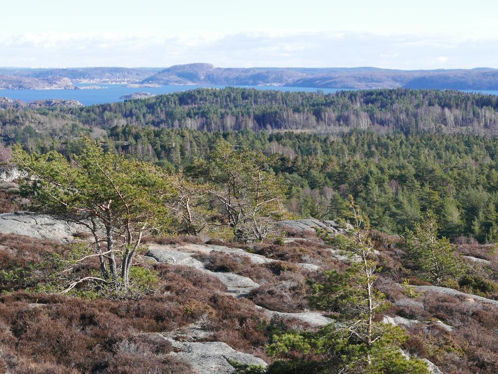 Lekanders Baer & Boende Tyfta Exteriér fotografie