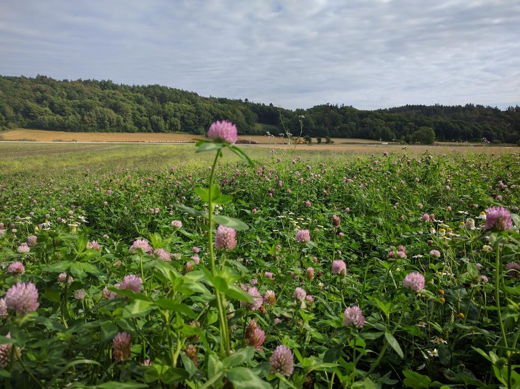 Lekanders Baer & Boende Tyfta Exteriér fotografie