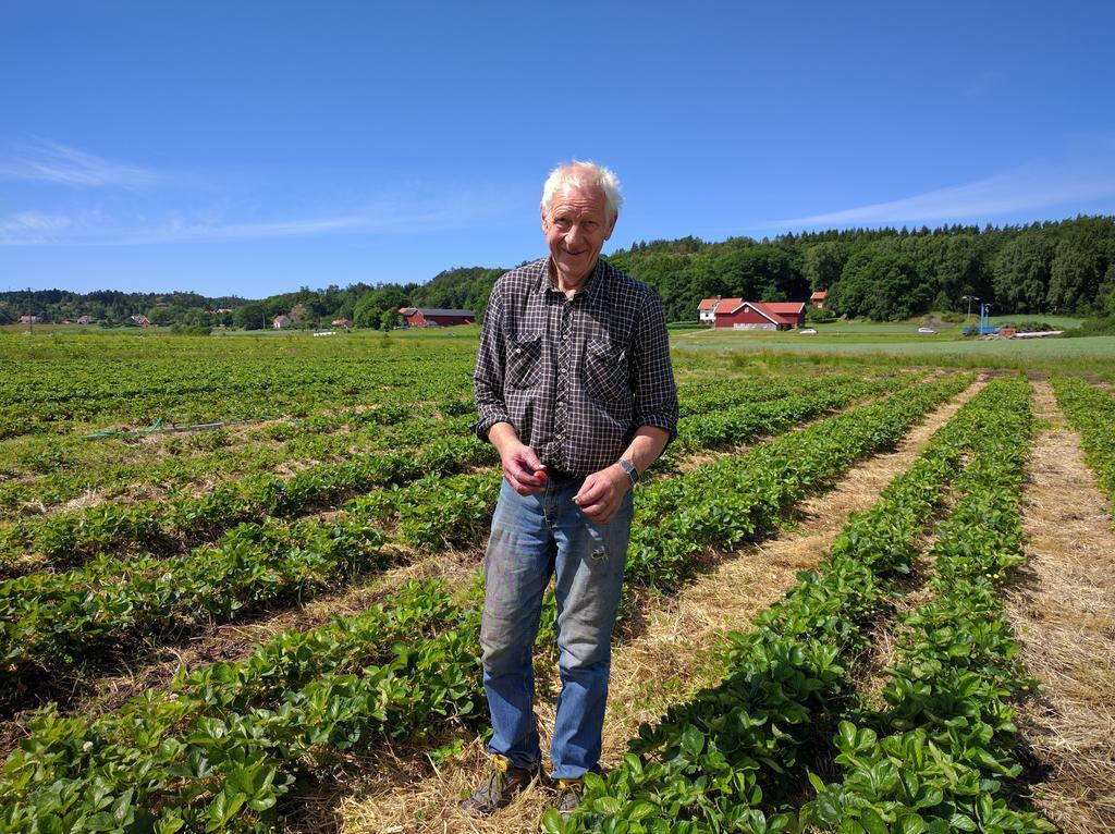 Lekanders Baer & Boende Tyfta Exteriér fotografie
